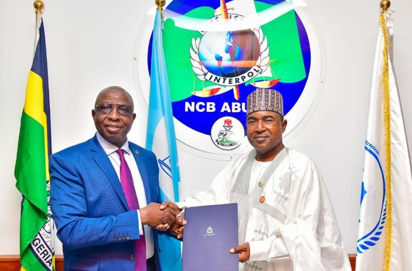  NDLEA, Interpol sign MoU on access to global criminal data records