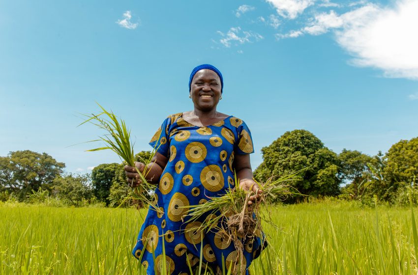  Nestlé partners with Africa Food Prize to strengthen food security and climate change resilience