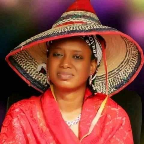  Adamawa Guber Race: APC in Divided House