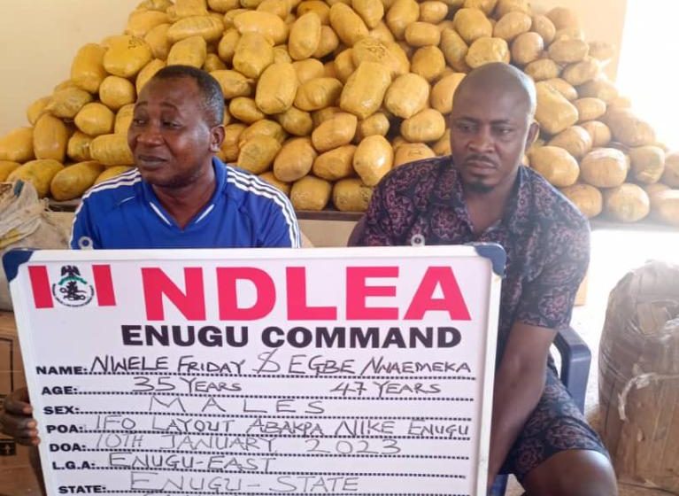  NDLEA Busts Another Tramadol Cartel, Seizes Over N5billion Opioids in Warehouse