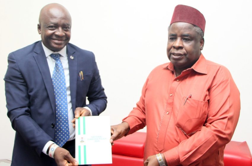 DABIRI-EREWA URGES MEDIA PRACTITIONERS TO PROMOTE DIASPORA INVESTMENT