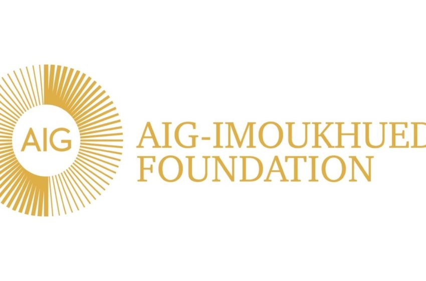  Aig-Imoukhuede Foundation Announces Opening of Applications for AIG Public Leaders Programme