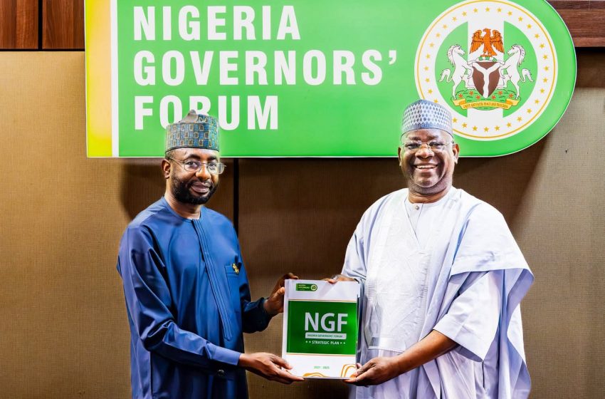  INCLUSIVE GROWTH: NITDA DG Pitches State Governors on Accelerating Tech-Driven