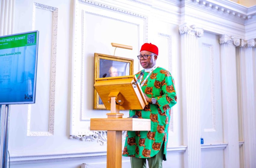  Nigeria’s green economy offers trillions of dollars in investment opportunities, says Onuigbo